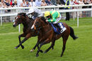 Race 4 - Recon Mission (2)