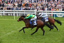 Race 4 - Recon Mission (5)