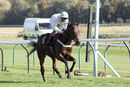 Race 4 - Red Bravo (14)