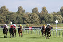 Race 4 - Red Bravo (5)