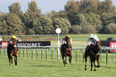 Race 4 - Red Bravo (7)