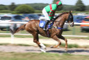 Race 4 - Red Giant (2)