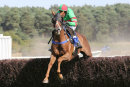 Race 4 - Red Giant (4)