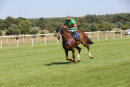 Race 4 - Red Giant (7)