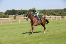 Race 4 - Red Giant (8)