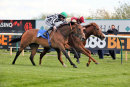 Race 4 - Red Tea (7)