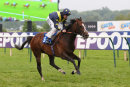 Race 4 - Repercussion (8)