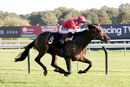 Race 4 - Rogue Bear (10)