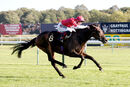 Race 4 - Rogue Bear (11)