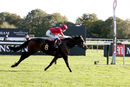 Race 4 - Rogue Bear (15)