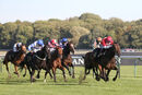 Race 4 - Rogue Bear (6)