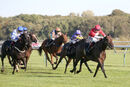 Race 4 - Rogue Bear (8)