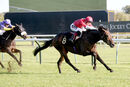 Race 4 - Rogue Bear (9)