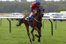 Race 4 - Romola (2)