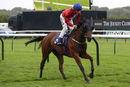 Race 4 - Romola (4)