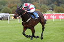 Race 4 - Rouge Vif (7)