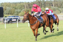 Race 4 - Rough Justice (8)