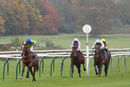 Race 4 - Salamanca School (2)
