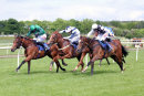 Race 4 - Sandymount (12)