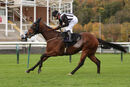 Race 4 - Saras Hope (13)