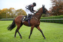 Race 4 - Saras Hope (16)
