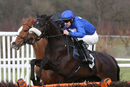 Race 4 - Schalke (3)