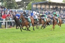 Race 4 - Scofflaw (16)