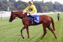 Race 4 - Sea Of Class (4)017