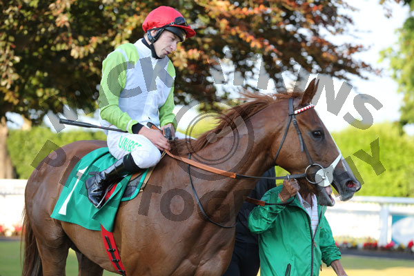 Race 4 - Sharp Style (10)