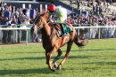 Race 4 - Sharp Style (6)