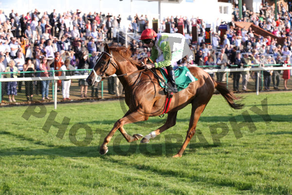 Race 4 - Sharp Style (9)