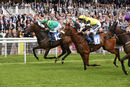 Race 4 - Shawaamekh (2)