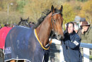 Race 4 - She Can Boogie (2)