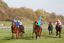 Race 4 - She Can Boogie (5)