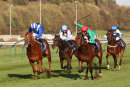 Race 4 - She Can Boogie (6)