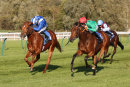 Race 4 - She Can Boogie (8)