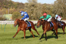 Race 4 - She Can Boogie (9)