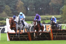 Race 4 - Shrubland (3)