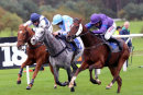 Race 4 - Shrubland (5)