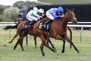 Race 4 - Sienna Breeze (10)