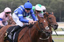 Race 4 - Sienna Breeze (8)