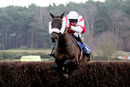 Race 4 - Skipthecuddles (10)