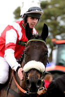 Race 4 - Skipthecuddles (13)
