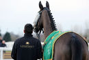 Race 4 - Skipthecuddles (3)