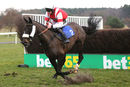 Race 4 - Skipthecuddles (5)