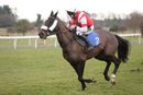 Race 4 - Skipthecuddles (6)