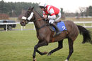 Race 4 - Skipthecuddles (7)