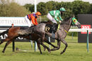 Race 4 - Smokey Malone (15)