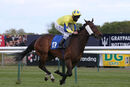 Race 4 - Something Enticing (10)