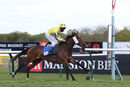 Race 4 - Something Enticing (13)
